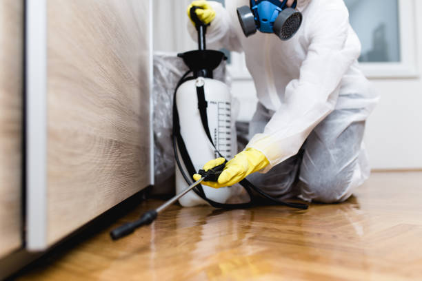 Best Best Pest Control Companies  in Spicer, MN