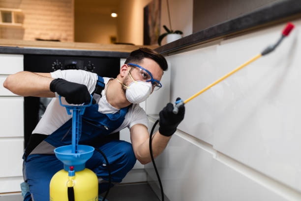 Best Cockroach Control Services  in Spicer, MN