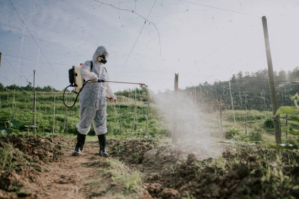 Best Pest Removal Services  in Spicer, MN