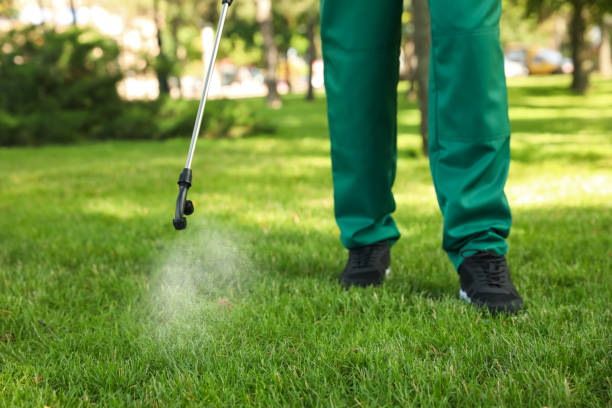 Best Affordable Pest Control Services  in Spicer, MN