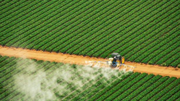 Best Termite Control Services  in Spicer, MN