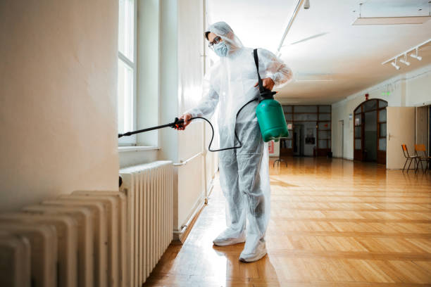 Best Wasp Removal Services  in Spicer, MN