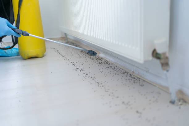 Best Pest Prevention Services  in Spicer, MN