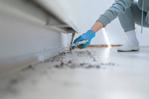 Best Pest Removal Services  in Spicer, MN